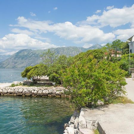 Villa Iva Kotor Exteriér fotografie